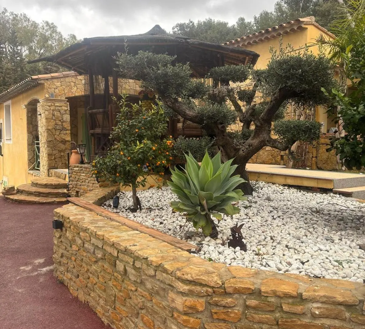 Marie Studio Cosy Sanary-sur-Mer 0*,