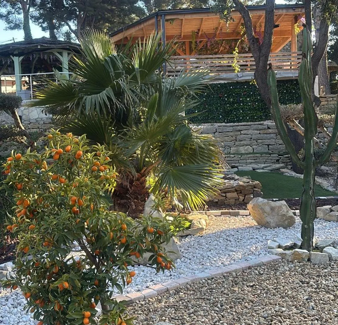 Marie Studio Cosy Sanary-sur-Mer 0*,  France